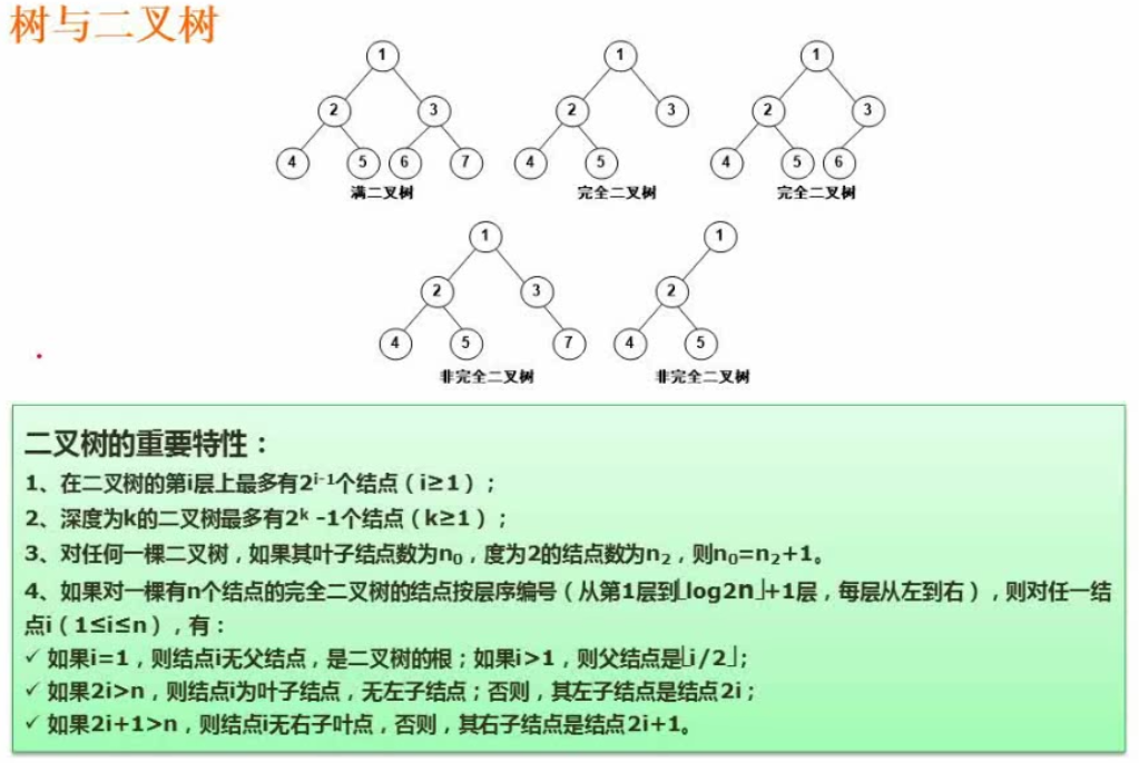 二叉树的分类及重要特性