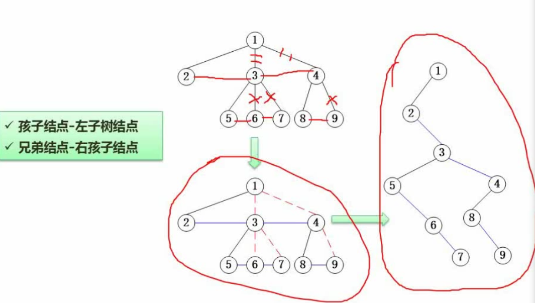 树转二叉树